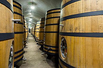 《光与影：33号远征队》游戏总监是《鬼泣5》高手 无伤打败维吉尔